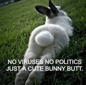 Meet your Posher, Cathy